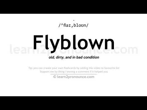 Видео: Что значит flyblows?