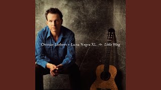 Little Wing Youtube Little Wing Youtube