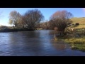 Farm Sale - New Zealand - $2M (Low Res) Farm Sale - New Zealand - $2M (Low Res)