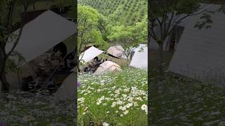수도권 근처 캠핑장 어디로가지? #camping #캠핑장추천 #캠핑요리 #단체캠핑 #괴산캠핑 #괴산아빠의나무 #아빠의나무 #세가족캠핑