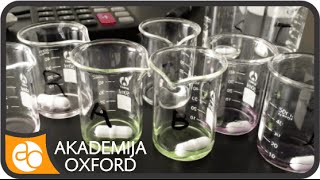 Prevod Labaratorijskih Ispitivanja Tehničkih Uzoraka, Prevodioci Za 33 Jezika