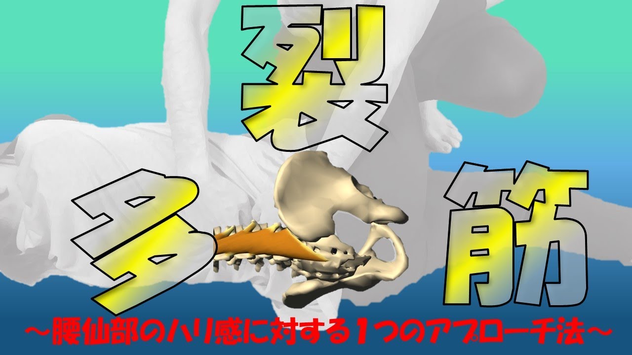 vol.370 多裂筋リリース法‼ ～腰仙部におけるハリ感に対する1