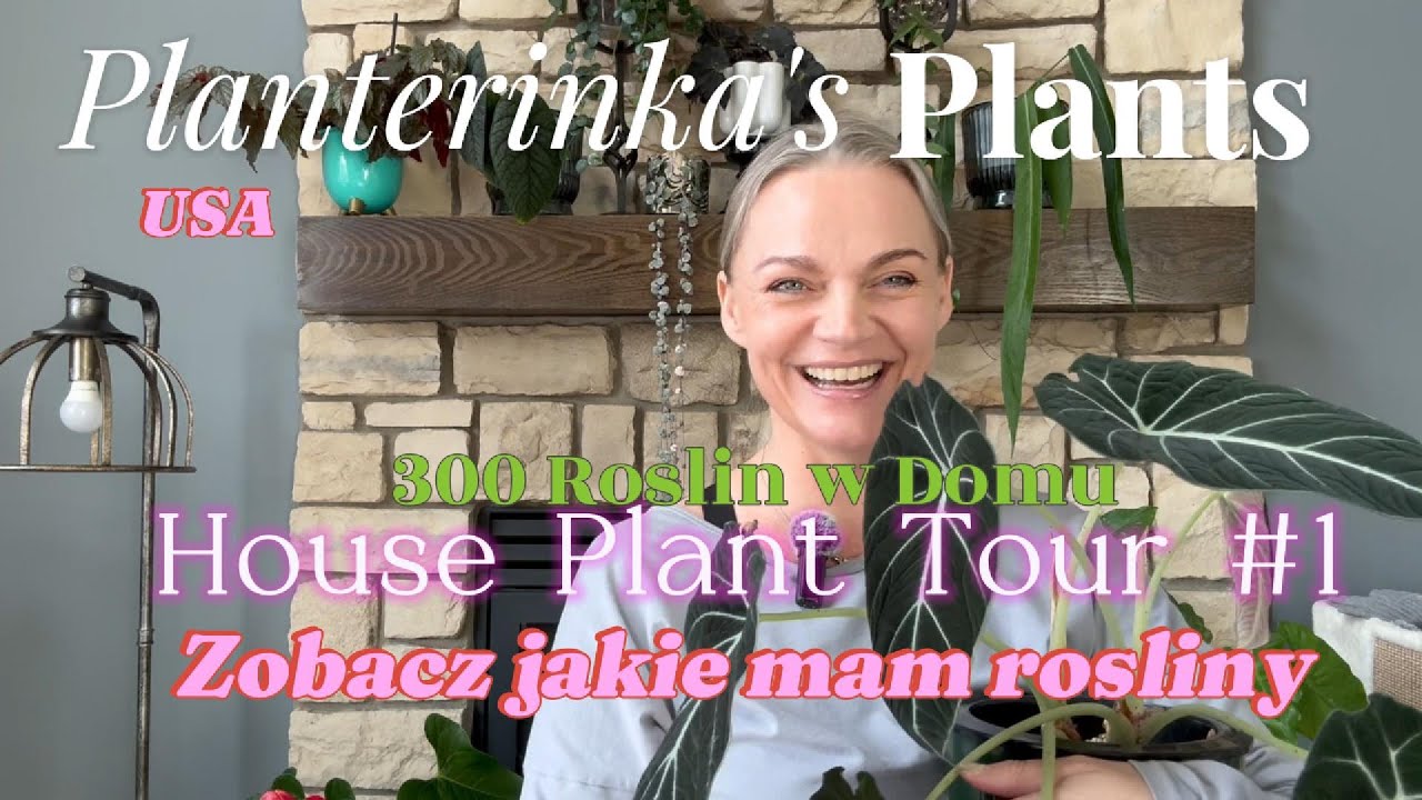 House Plant Tour #1 | 300 Roslin w Domu! | Zobacz jakie mam Rosliny!