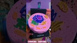 Video de maqueta tridimensional