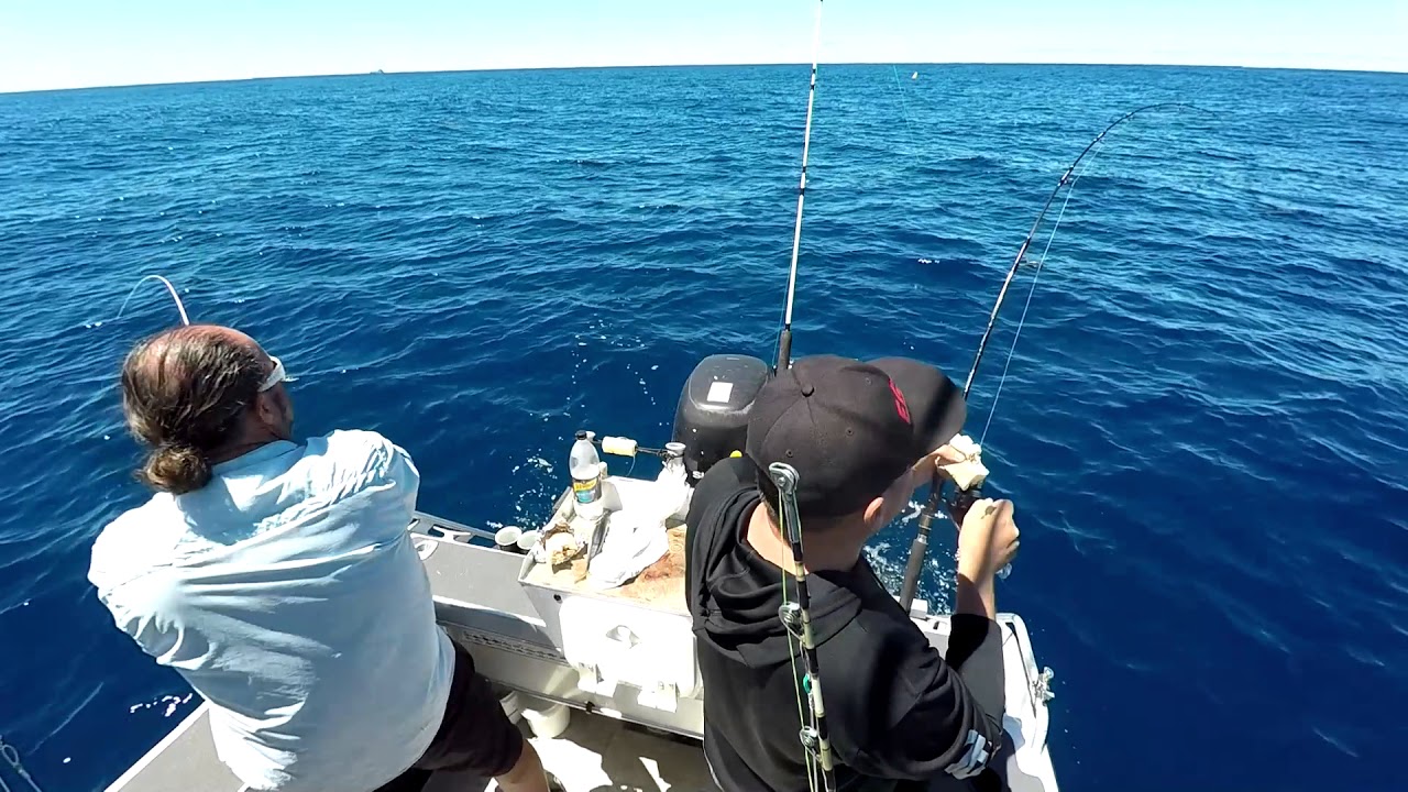Fishing Sydney Fads YouTube