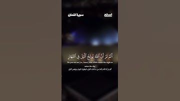 آية 28 - 29 من سورة لقمان للقارئ عبدالله القرافي