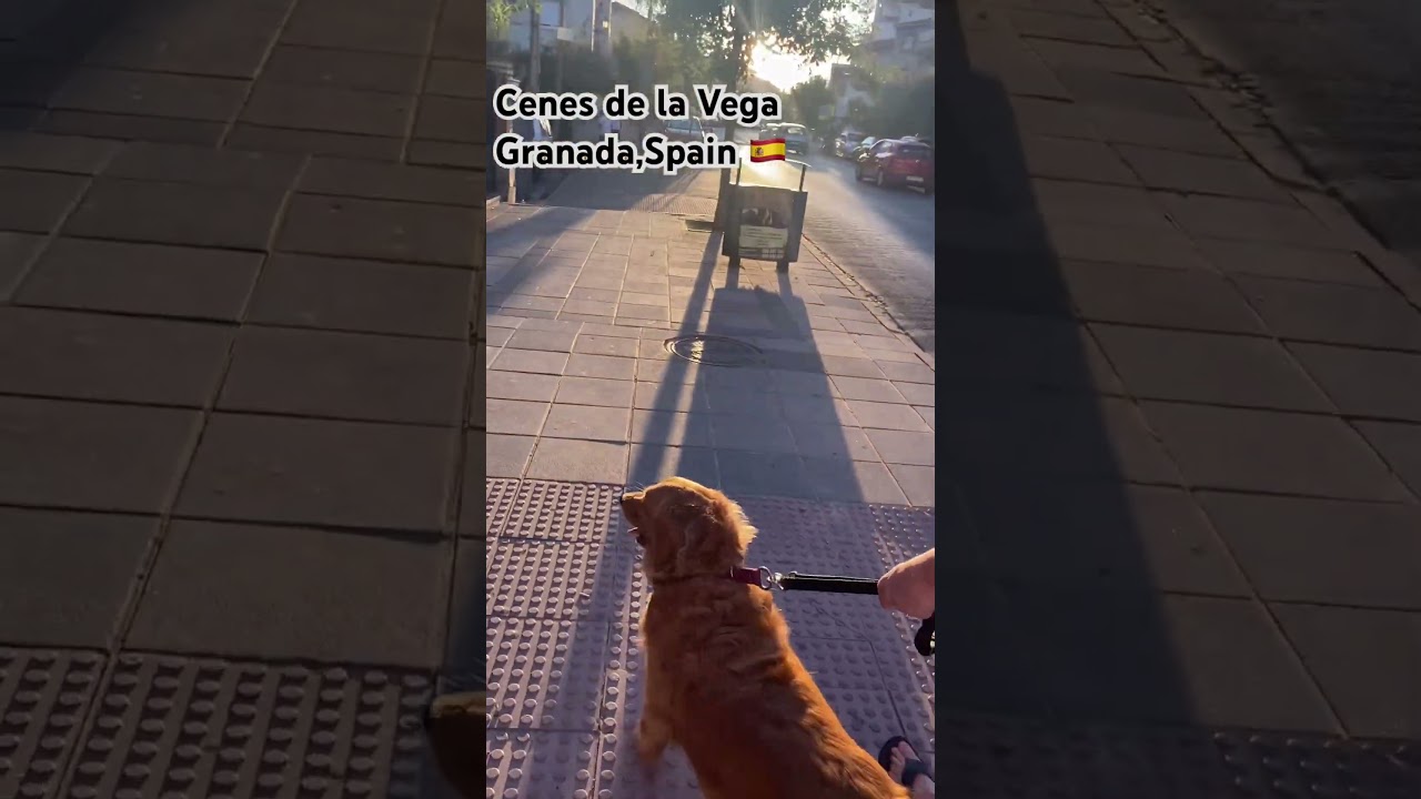 Paseando por Cenes de la Vega 🇪🇸