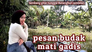 Lagu daerah Sumsel gitar tunggal Batanghari sembilan PESAN BUDAK MATI GADIS