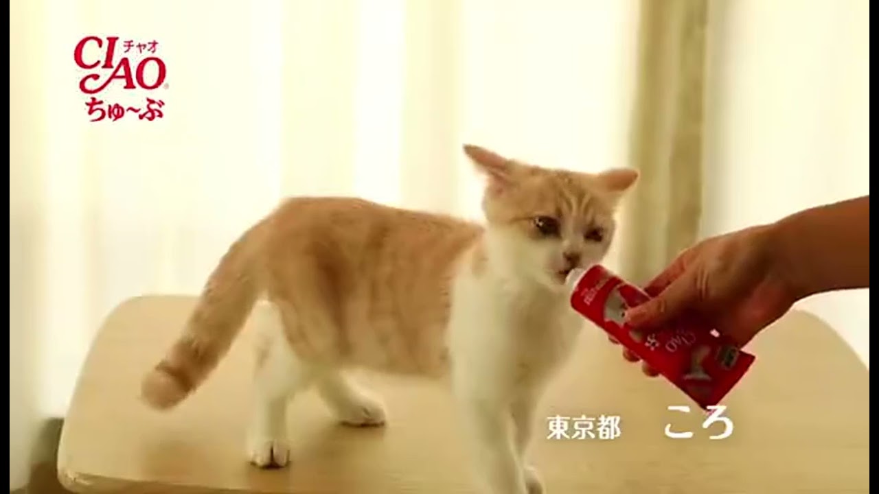 Inaba Ciao Churu Tube 80g Cat Treats Snack Creamy Vitamin Paste Makanan Kucing Probiotic Multi Vitam