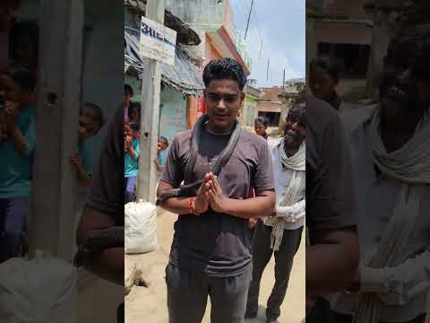 Daggu Sapera Sarwai Chhatarpur Madhya Pradesh Kobra Snake Kobra Snake Reels Shorts Video