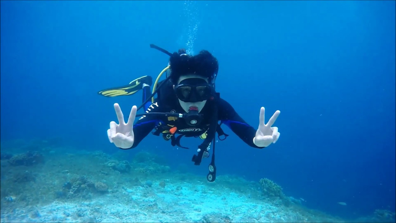 [오션어스다이브] 보홀 펀다이빙 fun diving bohol YouTube