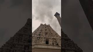 🕉️ Peaceful Village Temple in Andhra Pradesh | Mogili Venkatagiri Rama Temple