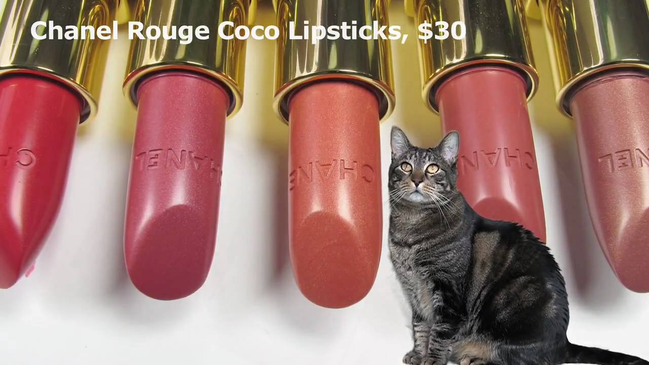 MBBTV #7: A cat reviews new MAC, Urban Decay & Chanel Makeup - YouTube