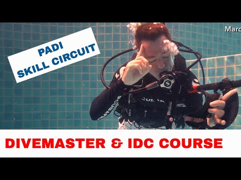PADI Divemaster Skills