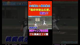 『竜のWきんに君』爆誕!?マッスルすぎる細川&鵜飼が大爆発!!バットが折れながらも…「パワー!!」で!!#shorts 【2023中日ドラゴンズキャンプ2月14日