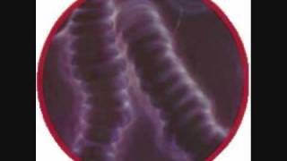 Won With Nature Lymphatic System Secrets Part 5