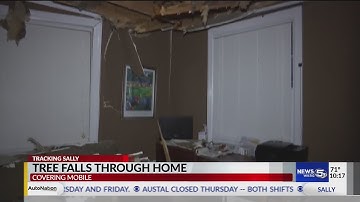 Tree falls through home in Mobile