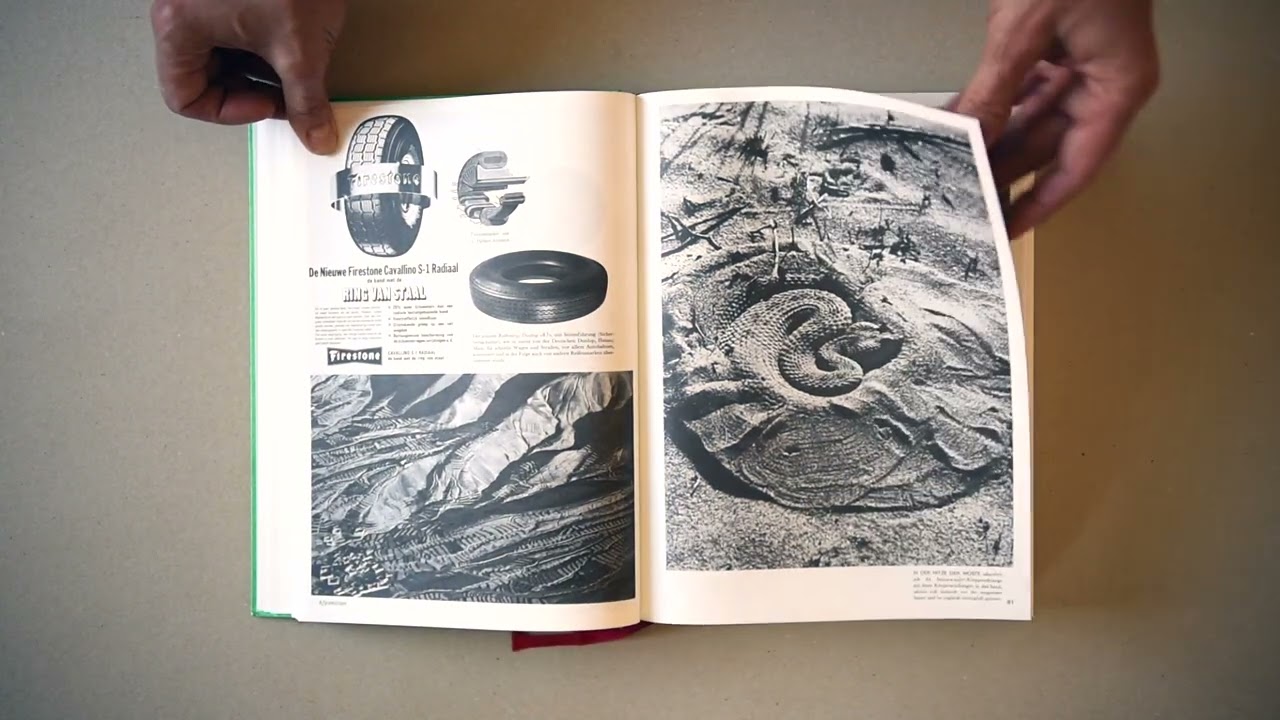 Le 26 du mois n°91 / Batia Suter