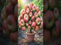 New Apple tree Planting Methods to Harvest more Apples #farming #setisfying #shorts