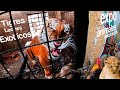 Expo venta de tigres leones perros exóticos y gallos (MarioBLOGS 2024)