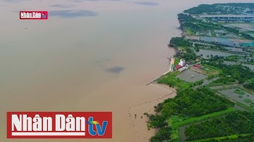 Tiền Giang khắc phục tình trạng sạt lở đê biển Gò Công