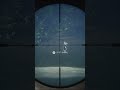 SWAMP 💎 Diamond! - theHunter: Call of the Wild #shorts