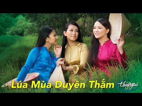 Video Lúa Mùa Duyên Thắm | Những Tình Khúc Trữ Tình Quê Hương - youtube
