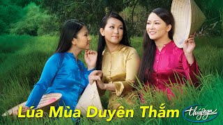 Lúa Mùa Duyên Thắm | Những Tình Khúc Trữ Tình Quê Hương