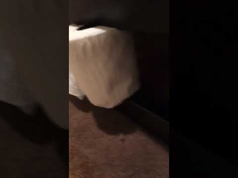 Crushing toilet paper