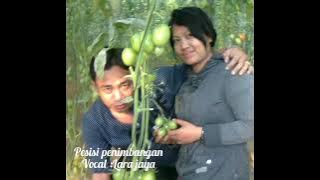 lara jaya.  # pesisi penimbangan # ( official music Audio )