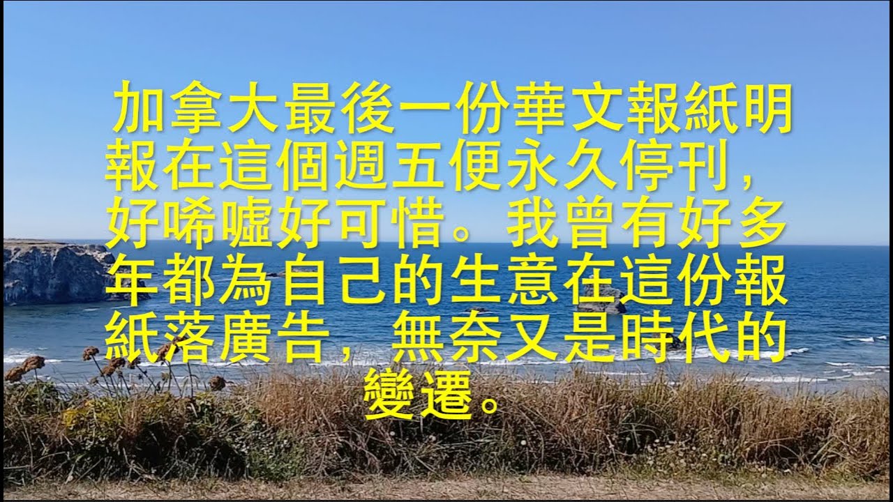 看到昨日何氏夫妻又應訊上庭，自作孽一切都是因果。   HD 1080p