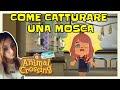 COME CATTURARE UNA MOSCA ? ANIMAL CROSSING NEW HORIZONS GUIDA ITA