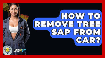 How To Remove Tree Sap From Car? - LearnToDIY360.com