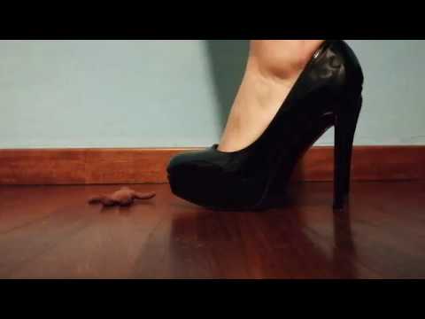 Giantess Heels Crush