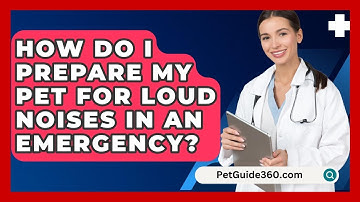 How Do I Prepare My Pet For Loud Noises In An Emergency? - PetGuide360.com