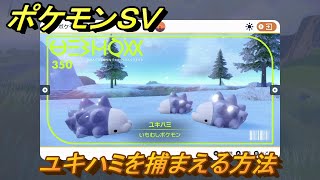 T. Hamada On the sand ヴァイオレットの場所 ポケモンSV】チャデス 入手方法 出現場所『ポケットモンスター