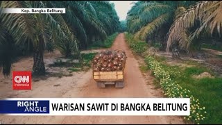 Warisan Sawit di Bangka Belitung