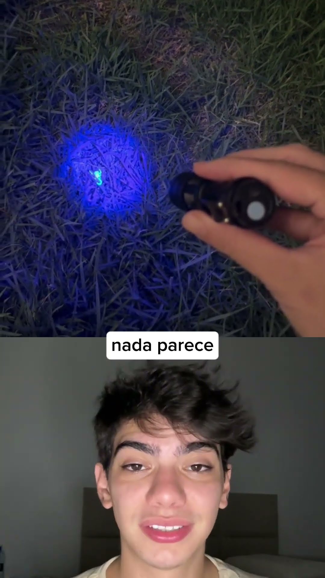 ?? Escorpiões brilham com luz UV! Use essa lanterna para se proteger e evitar perigos!
