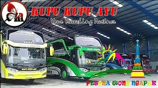 BUS KUPU-KUPU AYU trans || REVIEW ||
