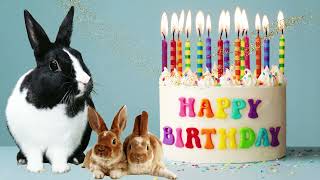 Happy Birthday Bunnies!  Cumpleaños Feliz CONEJOS!  Para cantarle cumpleaños a tu conejito bunny🐾🐇😍