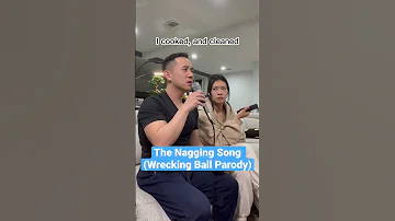 The Nagging Song - Wrecking Ball (Parody) @Luseeyalu