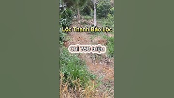 Lô đất Lộc Thành Bảo Lộc giá 750 triệu view săn mây#datviewdep #bdsbaoloc
