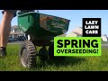 Overseeding my lawn with jonathan green black beauty ultra grass seed