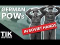 The Debate over German POWs in Soviet Hands WW2