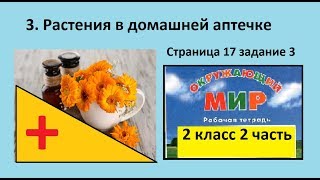 Лекарства дома/Растения в домашней аптечке №3 (Окр.мир 2 класс Перспектива) Лекарства дома/Растения в домашней аптечке №3 (Окр.мир 2 класс Перспектива)