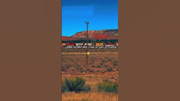 #اجر_لي_ولكم #اكسبلور #تلاوة_خاشعة #راحة_نفسية #قرآن #oração #korean #islamicvideo #india #islam