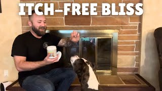 Soothe the Itch: How Probiotic Chews Relieved This Dog's Constant Scratching!