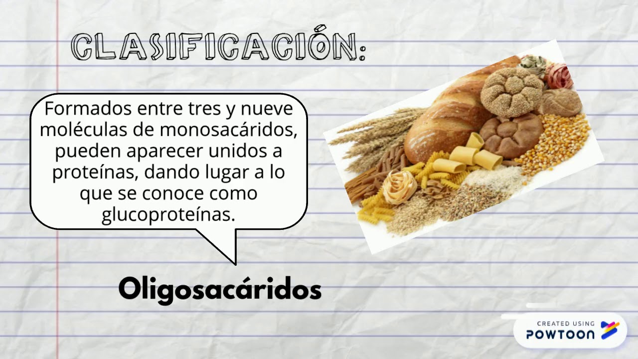 Cuántos carbohidratos tienen