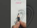 Learn to Draw an Ear Shape in 30 Seconds 👂✏️ #EarDrawing #EarShape #Sketching #KhushiArtiva