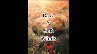 Phoenix Affirmation: Bask N Soft Winds #motivation #peace screenshot 3